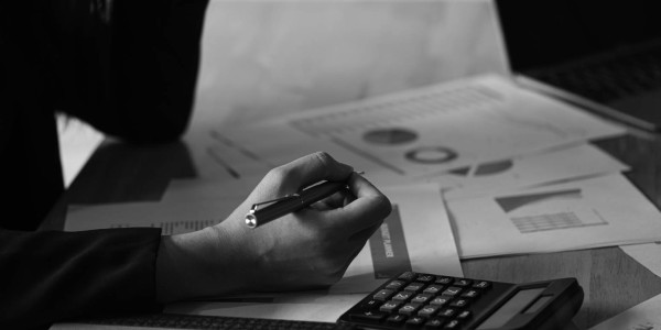 Asesoramiento, Recursos, Apelaciones y Legalizaciones Massanes · Apostilla de la Haya y Otros Procesos de Validación